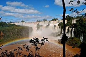 Puerto Iguazú: Tour alle cascate brasiliane di Iguazú con parco ornitologico