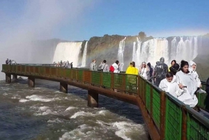 Puerto Iguazú: Excursión a las Cataratas del Iguazú brasileñas con Parque de las Aves