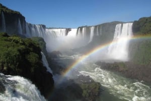 Puerto Iguazú: Tur til de brasilianske Iguazú-vandfald med fuglepark
