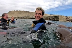 Puerto Madryn: snorkeltrip van 3 uur met zeeleeuwen