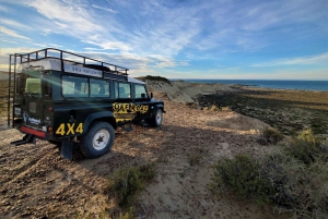 PUERTO MADRYN: 4 X 4 AVONTUURLIJKE ERVARING OP DE MOOISTE STRANDEN!