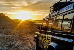 PUERTO MADRYN: 4 X 4 AVONTUURLIJKE ERVARING OP DE MOOISTE STRANDEN!