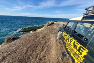 PUERTO MADRYN: 4 X 4 AVONTUURLIJKE ERVARING OP DE MOOISTE STRANDEN!