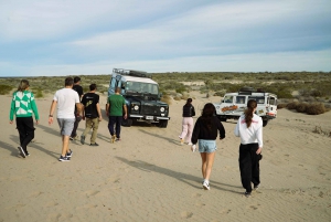 PUERTO MADRYN: 4 X 4 AVONTUURLIJKE ERVARING OP DE MOOISTE STRANDEN!