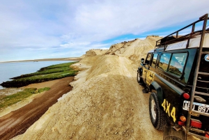 PUERTO MADRYN: 4 X 4 AVONTUURLIJKE ERVARING OP DE MOOISTE STRANDEN!