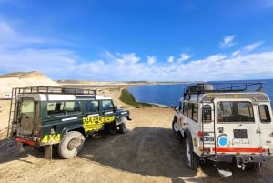 PUERTO MADRYN: 4 X 4 AVONTUURLIJKE ERVARING OP DE MOOISTE STRANDEN!