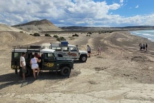PUERTO MADRYN: 4 X 4 ADVENTURE-OPLEVELSE PÅ DE SMUKKESTE STRANDE!