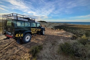 PUERTO MADRYN: 4 X 4 ADVENTURE-OPLEVELSE PÅ DE SMUKKESTE STRANDE!