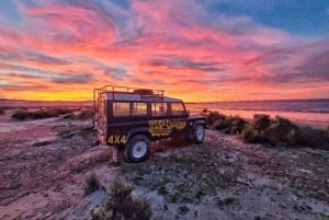PUERTO MADRYN: 4 X 4 ADVENTURE-OPLEVELSE PÅ DE SMUKKESTE STRANDE!