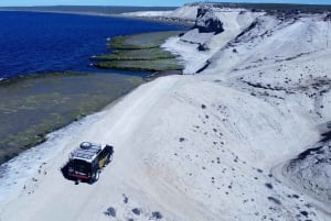 PUERTO MADRYN: 4 X 4 ADVENTURE-OPLEVELSE PÅ DE SMUKKESTE STRANDE!