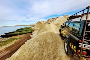 PUERTO MADRYN: 4 X 4 ADVENTURE-OPLEVELSE PÅ DE SMUKKESTE STRANDE!