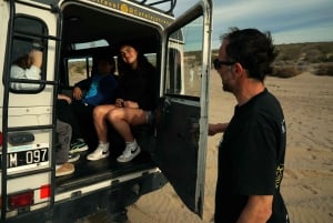 PUERTO MADRYN: 4 X 4 ADVENTURE-OPLEVELSE PÅ DE SMUKKESTE STRANDE!