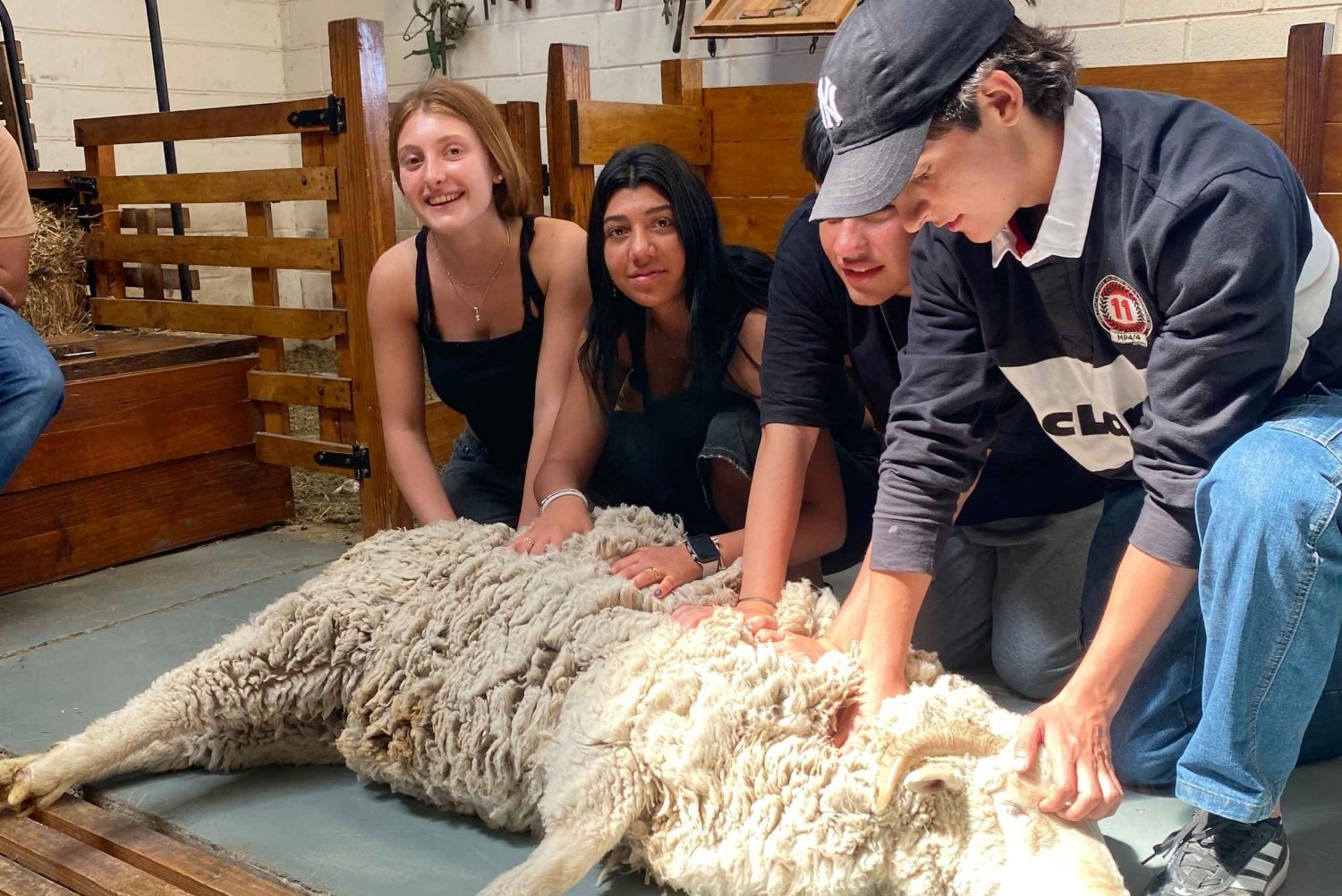 Kaupunkikierros Puerto Madryn + merileijonat + Patagonian ranch