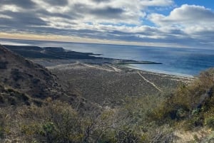 Stadsrondleiding Puerto Madryn + zeeleeuwen + Patagonische ranch