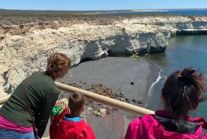 Stadsrondleiding Puerto Madryn + zeeleeuwen + Patagonische ranch