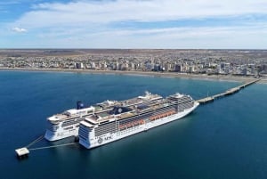 Stadsrondleiding Puerto Madryn + zeeleeuwen + Patagonische ranch