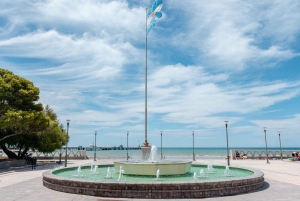 Stadsrondleiding Puerto Madryn + zeeleeuwen + Patagonische ranch