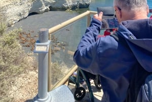 Kaupunkikierros Puerto Madryn + merileijonat + Patagonian ranch