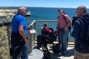 Kaupunkikierros Puerto Madryn + merileijonat + Patagonian ranch