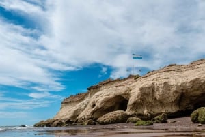 Kaupunkikierros Puerto Madryn + merileijonat + Patagonian ranch