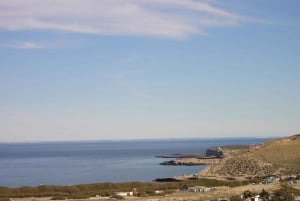 Puerto Madryn: Utflukt til den klassiske Valdes-halvøya
