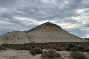 Puerto Madryn in 4 hours: City tour and southern circuit with picnic
