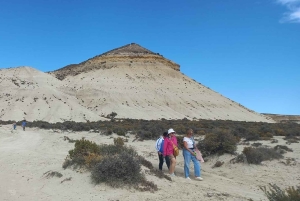 Puerto Madryn in 4 hours: City tour and southern circuit with picnic