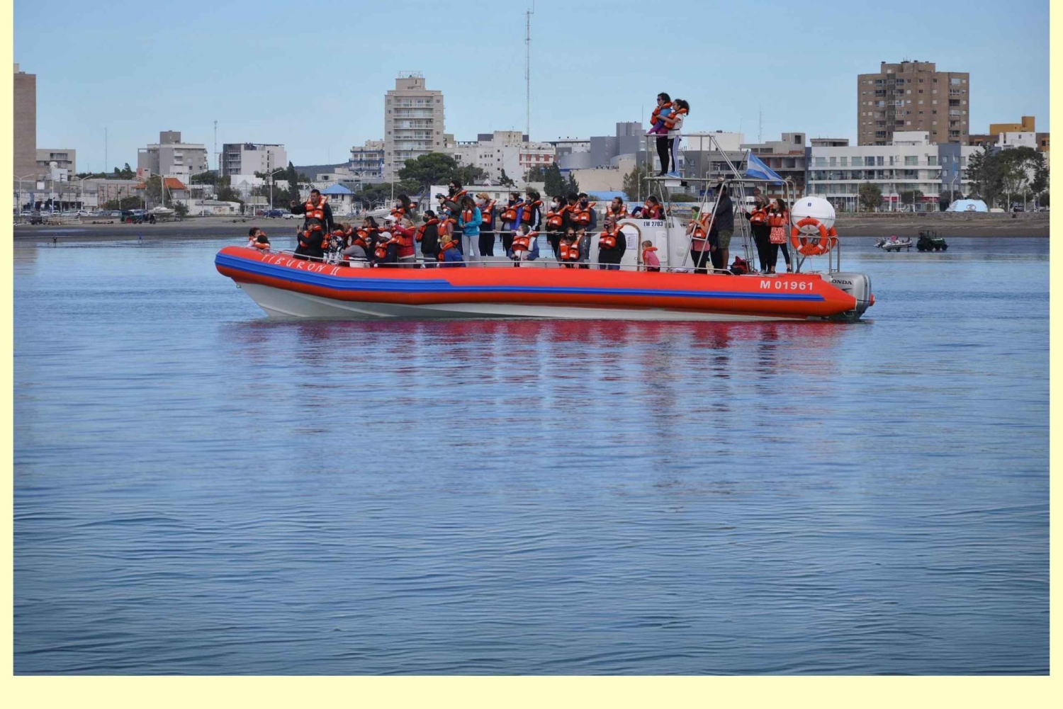 Puerto Madryn: safári náutico no Golfo Nuevo