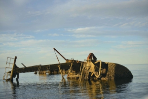Puerto Madryn: safári náutico no Golfo Nuevo