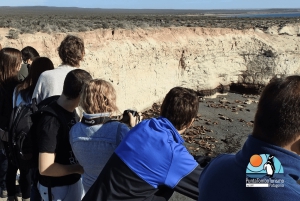 Puerto Madryn: Punta Loma i wycieczka po mieście dla pasażerów rejsów wycieczkowych