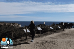 Puerto Madryn: Punta Loma i wycieczka po mieście dla pasażerów rejsów wycieczkowych