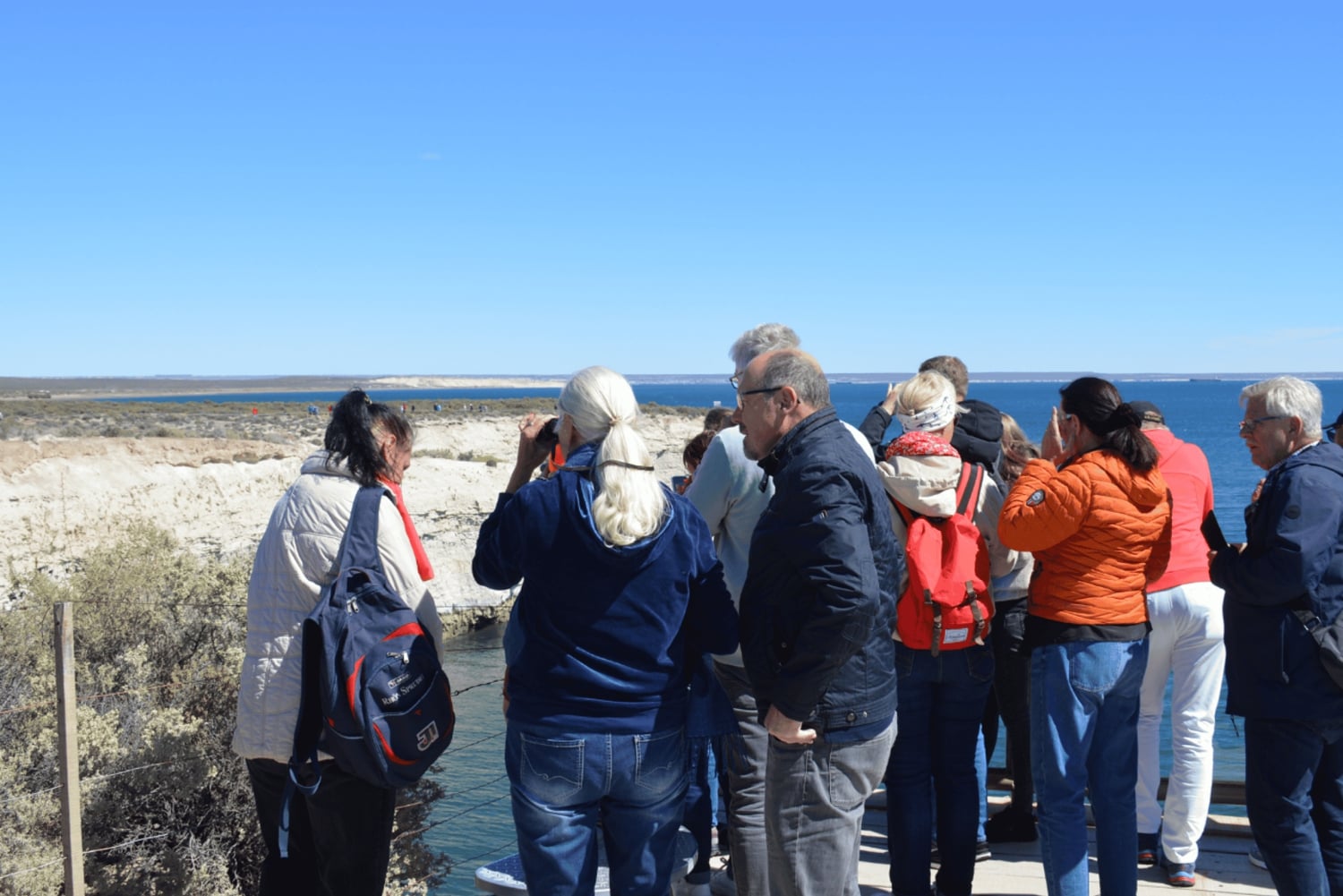 Puerto Madryn: Excursión a Punta Loma