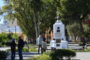 Puerto Madryn: Punta Loma Excursie aan wal