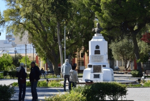 Puerto Madryn: Excursión a Punta Loma