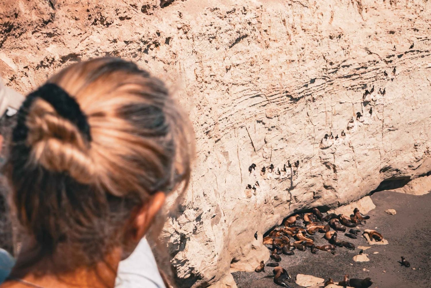 Wycieczka brzegowa do Puerto Madryn Punta Loma z degustacją piwa rzemieślniczego