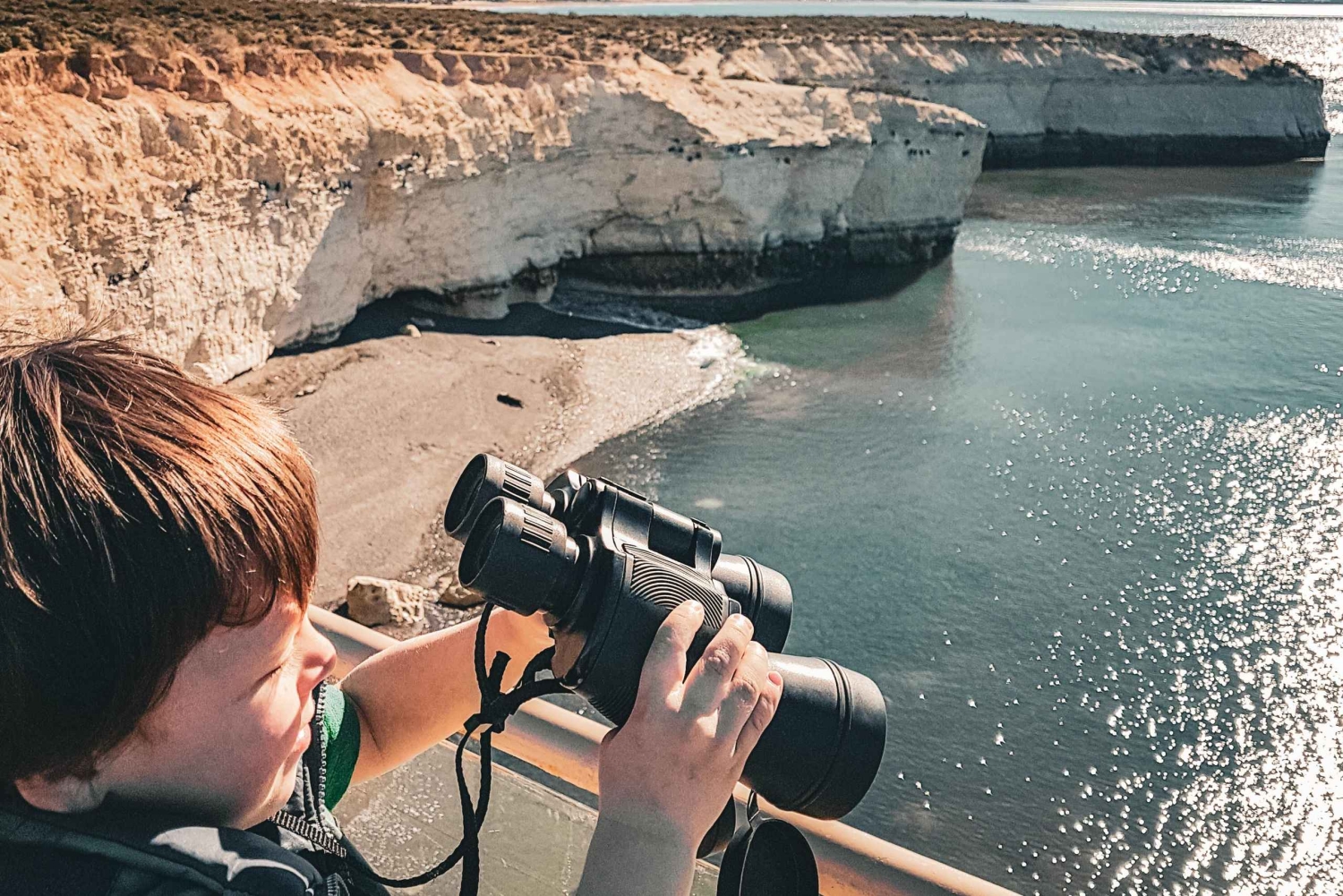 Wycieczka brzegowa do Puerto Madryn Punta Loma z degustacją piwa rzemieślniczego
