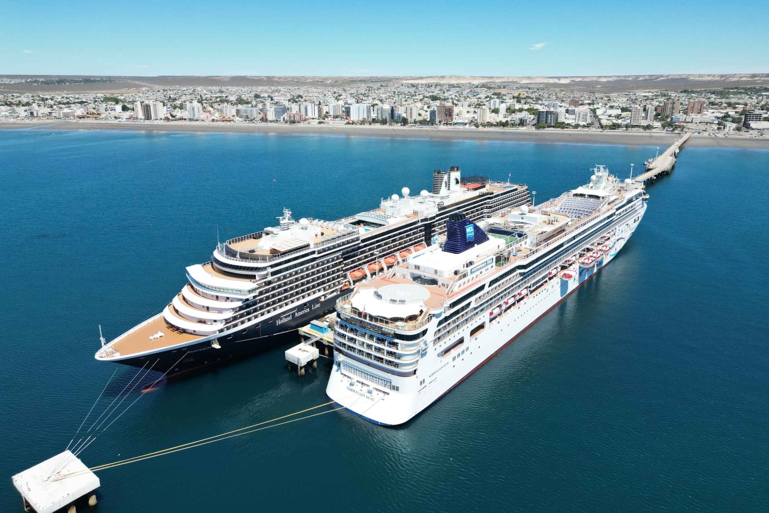 Wycieczka brzegowa do Puerto Madryn Punta Loma z degustacją piwa rzemieślniczego