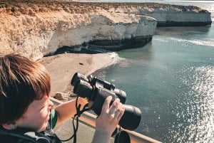 Wycieczka brzegowa do Puerto Madryn Punta Loma z degustacją piwa rzemieślniczego