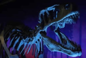 Puerto Madryn: tour di Punta Tombo e del Museo Paleontologico