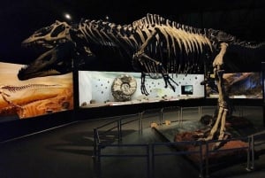 Puerto Madryn: tour di Punta Tombo e del Museo Paleontologico
