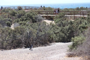 Puerto Madryn: Punta Tombo Shore Excursion for Cruise Guests