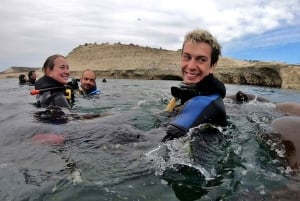 Puerto Madryn: Snorkeling Trip with Sea Lions