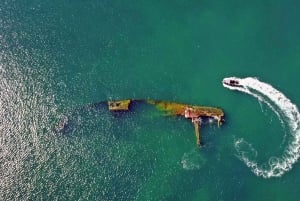 Puerto Madryn: Snorkeling Trip with Sea Lions