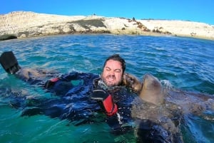 Puerto Madryn: Snorkeling Trip with Sea Lions