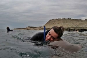 Puerto Madryn: Snorkeling Trip with Sea Lions