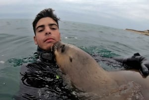 Puerto Madryn: Snorkeling Trip with Sea Lions
