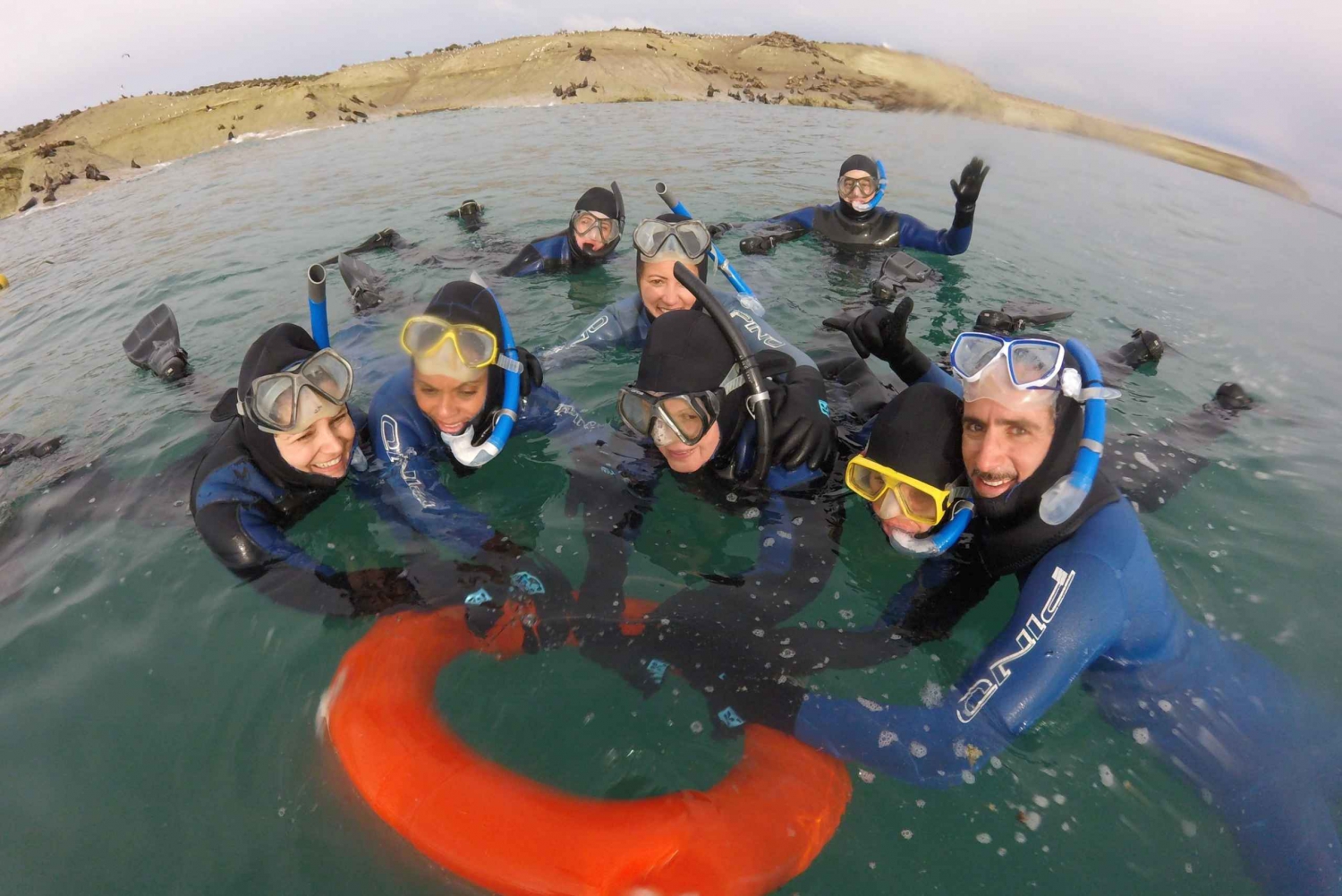 Puerto Madryn: Snorkeling with Sea Lions