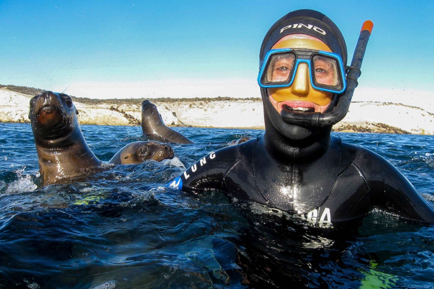 Puerto Madryn: Snorkel con leones marinos