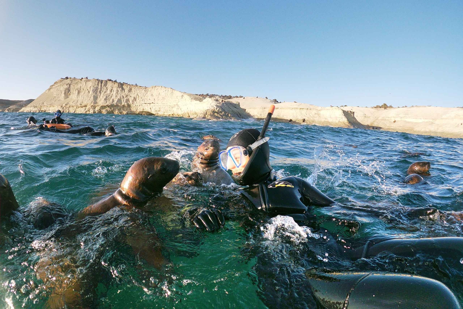 PUERTO MADRYN , SNORKEL CON LEONES MARINOS