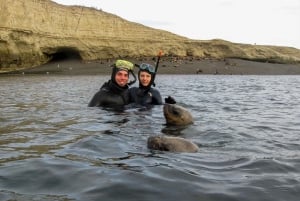 Puerto Madryn: Snorkeling with Sea Lions